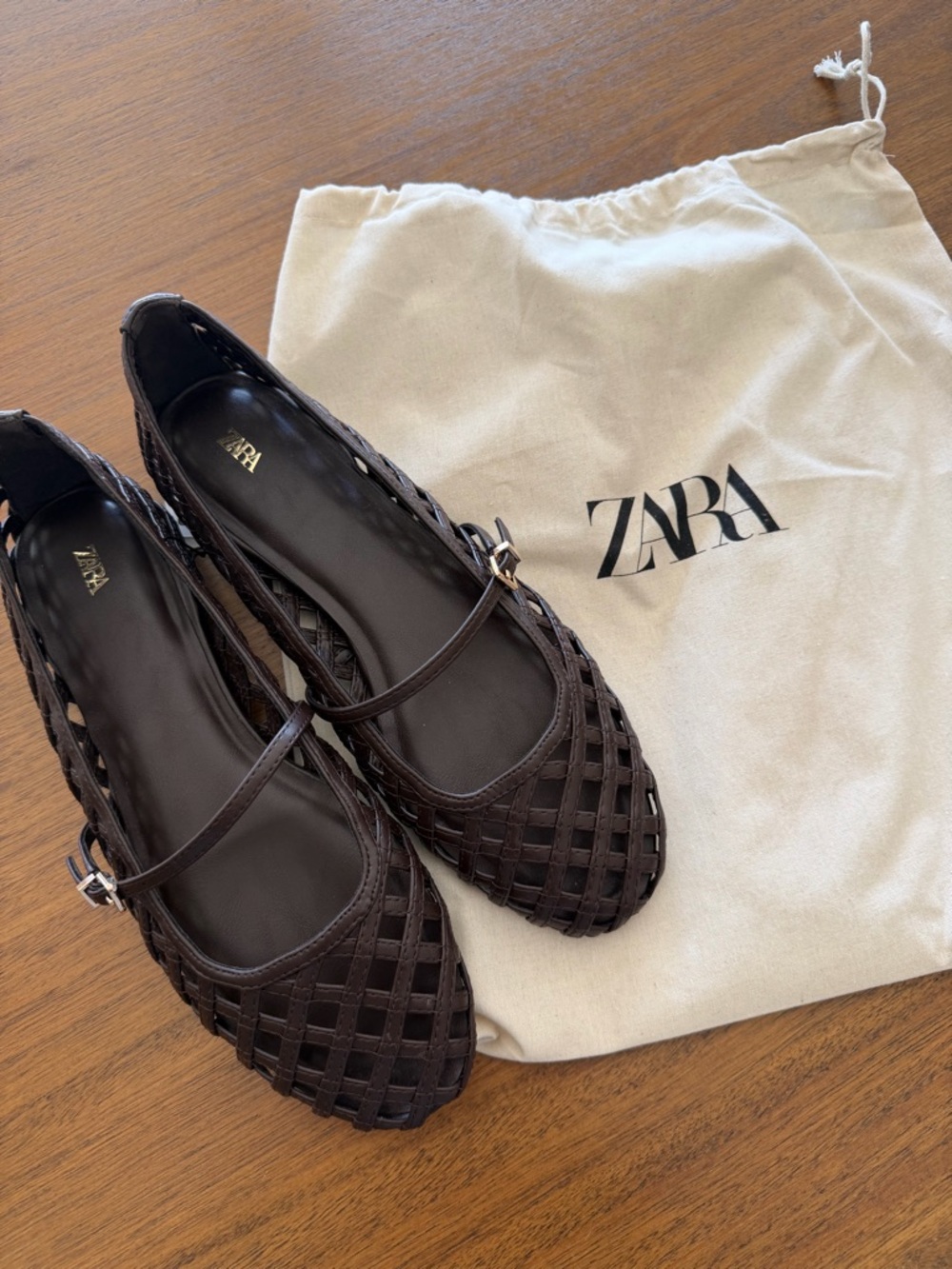 Zara Dark Brown Woven Mary Jane Flats